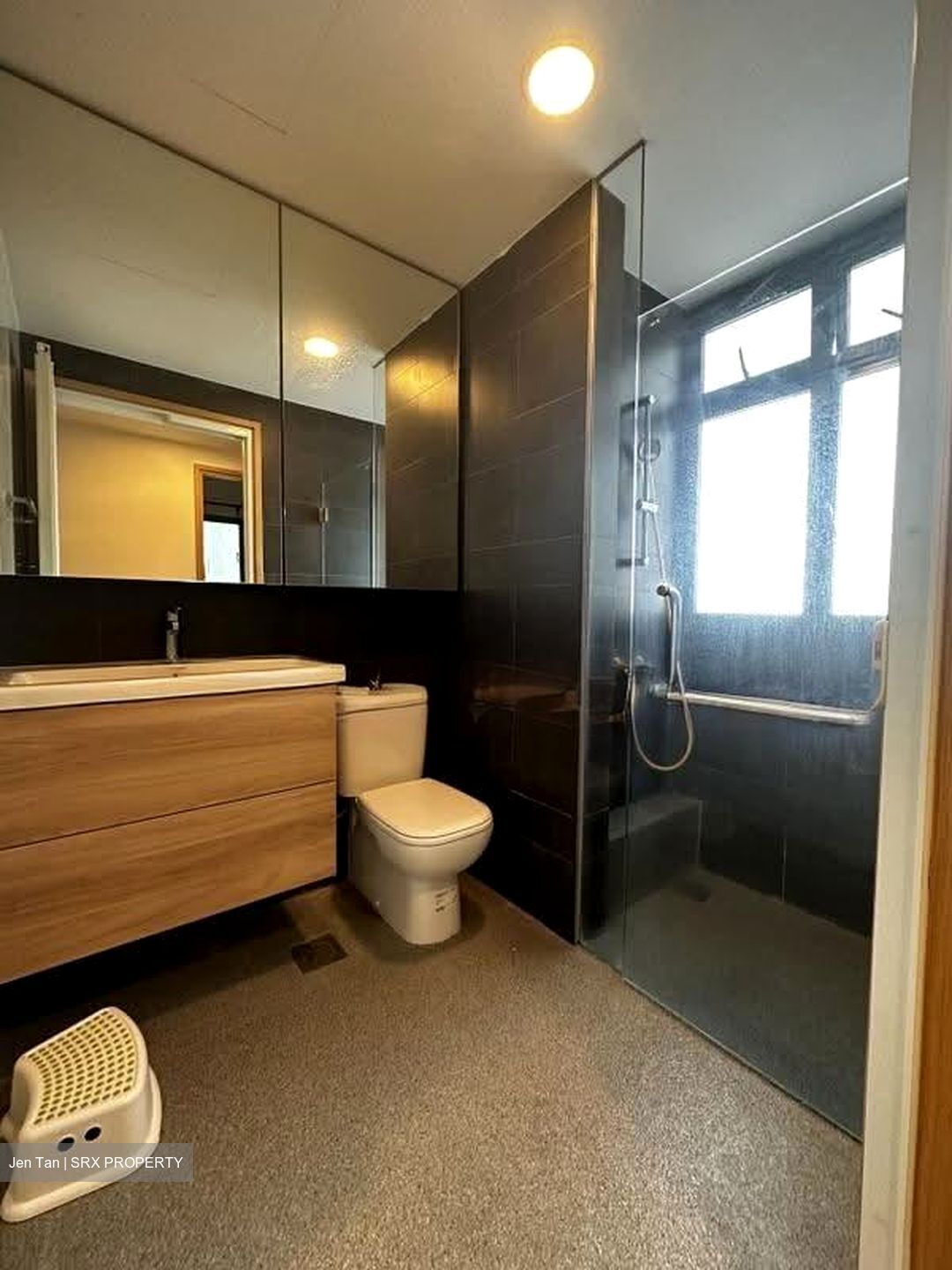 Parc Olympia (D17), Condominium #622671401